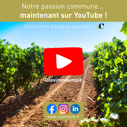 @levinensemble sur Youtube