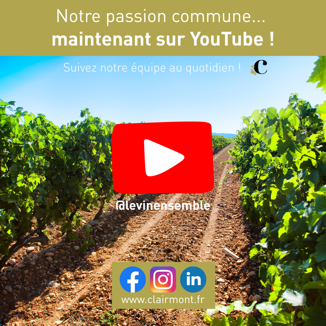 @levinensemble sur Youtube